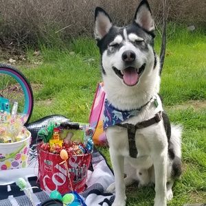 Meet your Posher, Idania